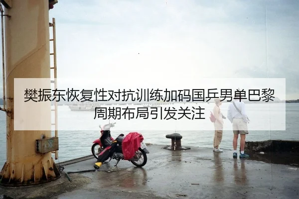 樊振东恢复性对抗训练加码国乒男单巴黎周期布局引发关注